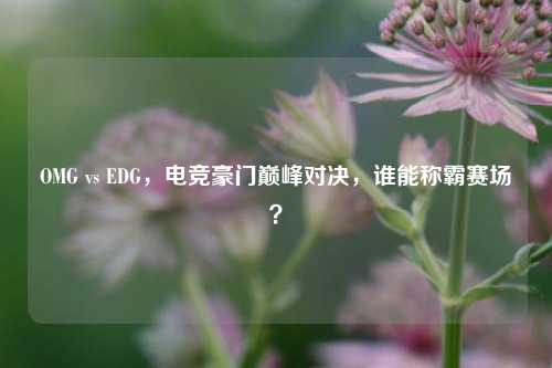 OMG vs EDG，电竞豪门巅峰对决，谁能称霸赛场？