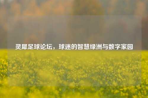 灵犀足球论坛，球迷的智慧绿洲与数字家园