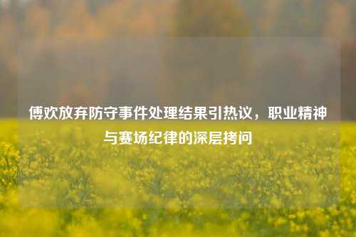 傅欢放弃防守事件处理结果引热议,职业精神与赛场纪律的深层拷问