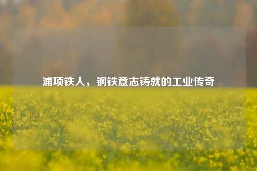 浦项铁人，钢铁意志铸就的工业传奇