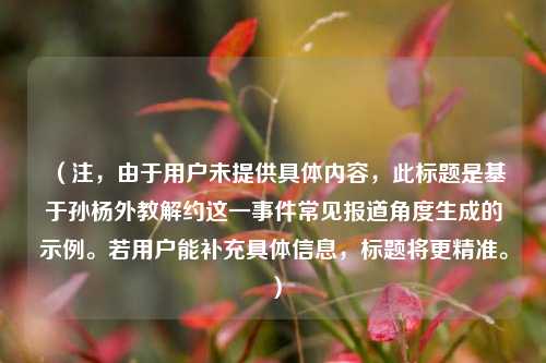 （注，由于用户未提供具体内容，此标题是基于孙杨外教解约这一事件常见报道角度生成的示例。若用户能补充具体信息，标题将更精准。）