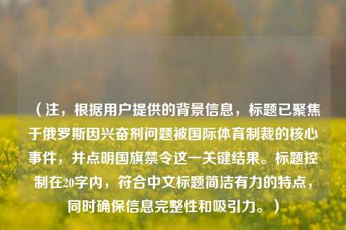 (注,根据用户提供的背景信息,标题已聚焦于俄罗斯因兴奋剂问题被国际体育制裁的核心事件,并点明国旗禁令这一关键结果。标题控制在20字内,符合中文标题简洁有力的特点,同时确保信息完整性和吸引力。)