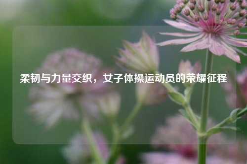 柔韧与力量交织,女子体操运动员的荣耀征程