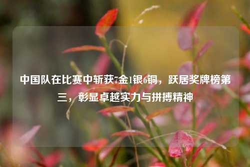 中国队在比赛中斩获7金1银6铜，跃居奖牌榜第三，彰显卓越实力与拼搏精神